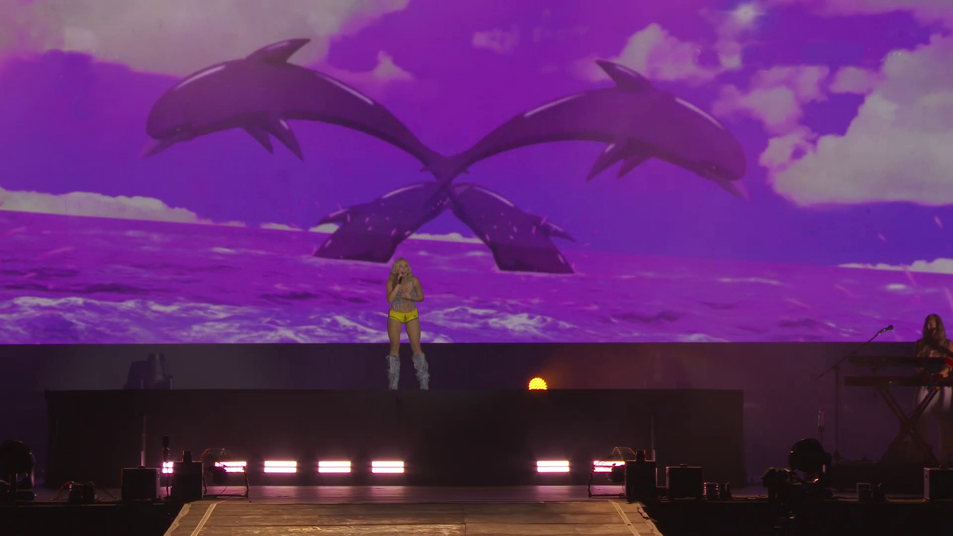 Golfinhos durante a performance de "Symphony" no show da Zara Larsson (Foto: Reprodução)