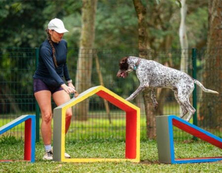 Festival Pet (Foto: Divulgação)